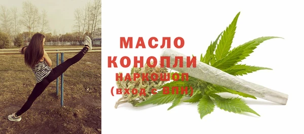 прущий лед Бородино