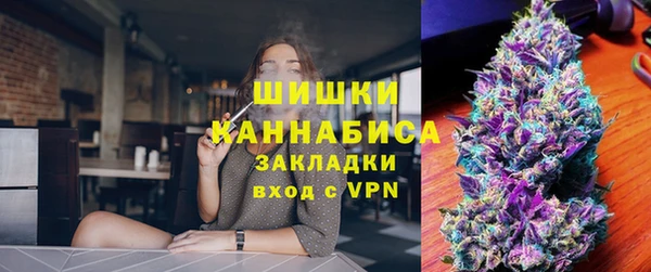 прущий лед Бородино