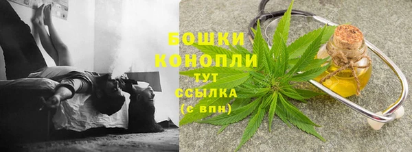 шишки Богданович