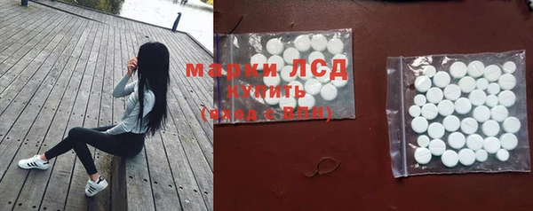 прущий лед Бородино
