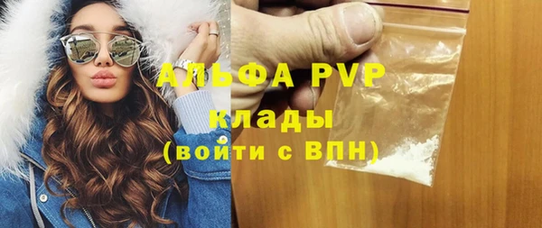 прущий лед Бородино
