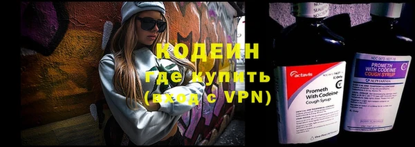 молекула духа Богородицк