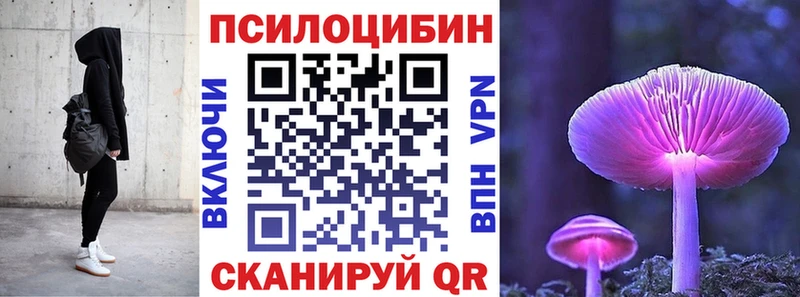 хочу   Жиздра  Галлюциногенные грибы Psilocybe 